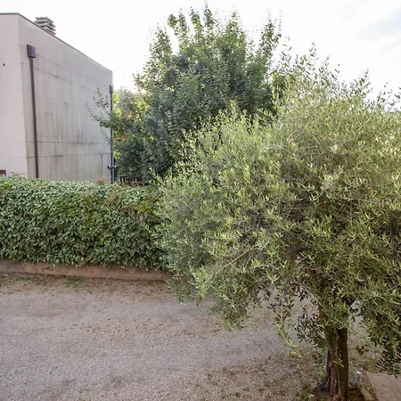 Il Gatto E La Luna Lejlighed Arezzo